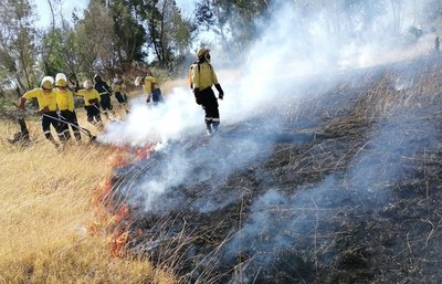 Majority of KZN fires due to human negligence, WOF says - Vimarsana News