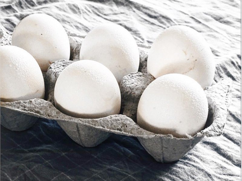 Six beauty tips using eggs on World Egg Day