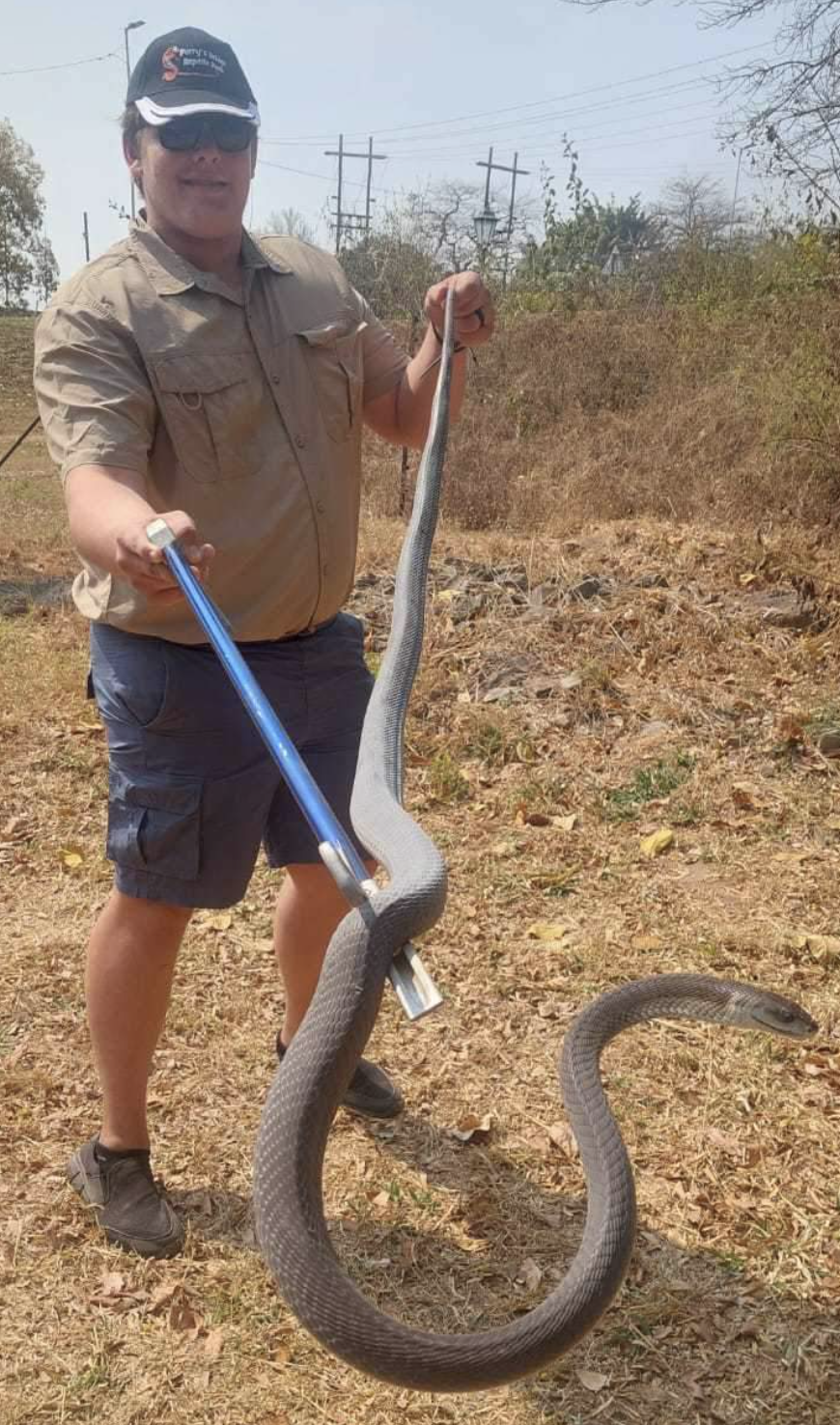 Zac Scholtz holding a black mamba
