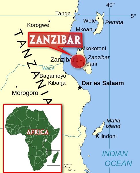 Two British citizens suffer acid attack in Zanzibar