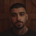 Zayn Malik poses against a background with wooden panels