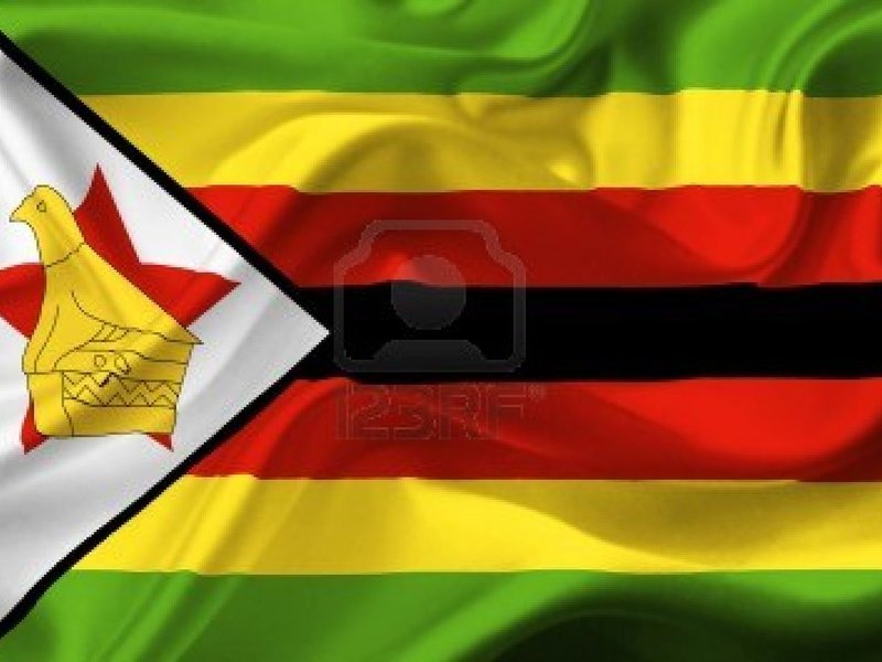 Zim flag 1.jpg