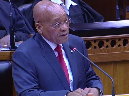 Zuma_1.JPG