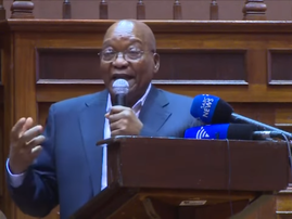 Zuma at cosas