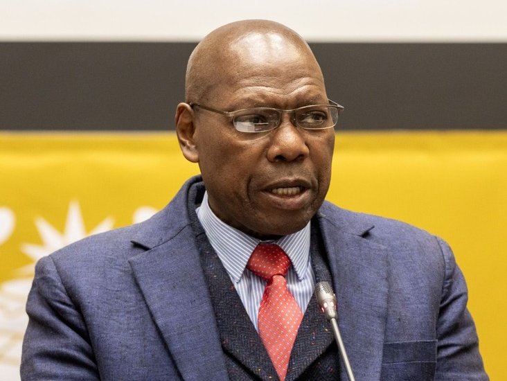 Zweli Mkhize parliament