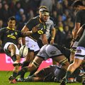 Springbok scrumhalf Embrose Papier kicking the ball