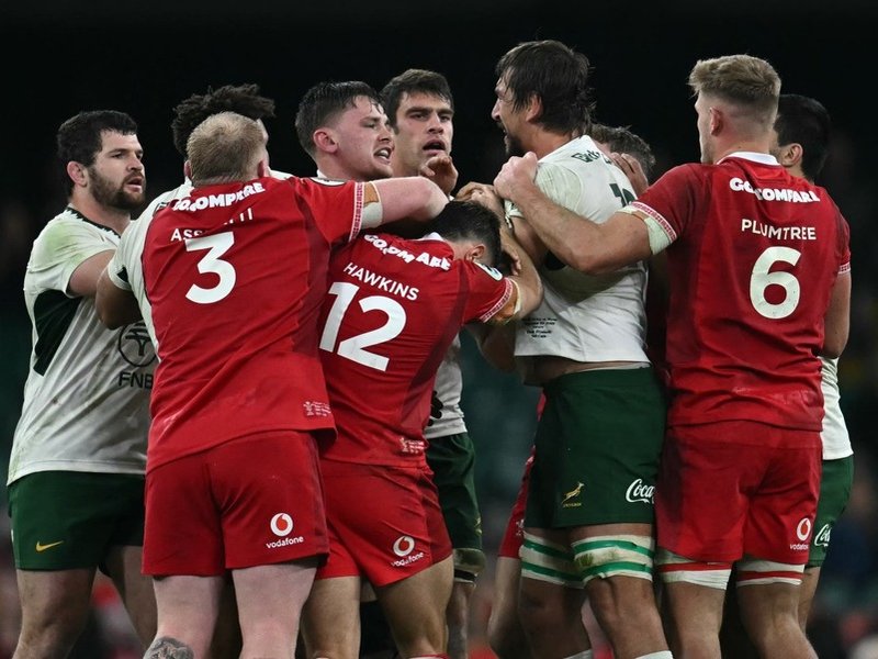 Springbok lock Eben Etzebeth banned for 12 matches