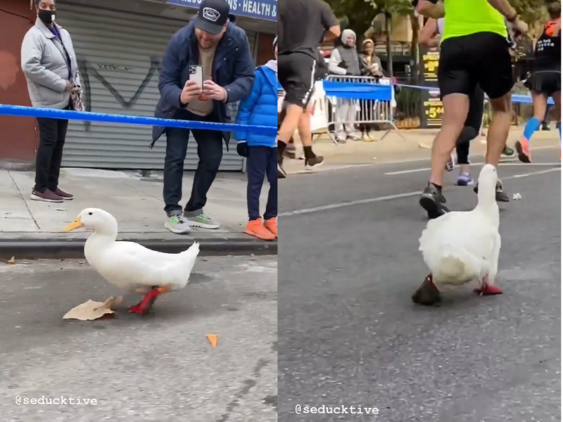 WATCH: One of the cutest things you will see on the internet today...