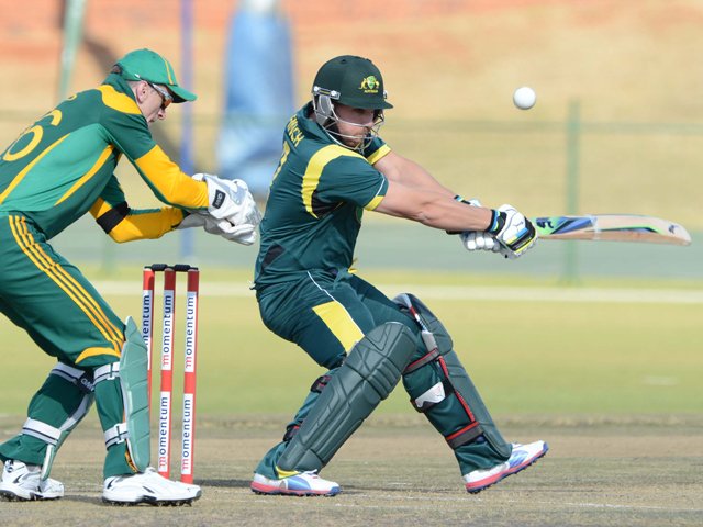 aaronfinch_gallo_1.jpg
