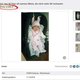 ebay baby1