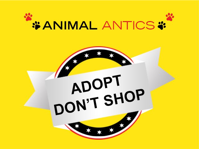 adopt-dont-shop_11.jpg