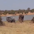 WATCH: Elephant rescues car stuck in dam