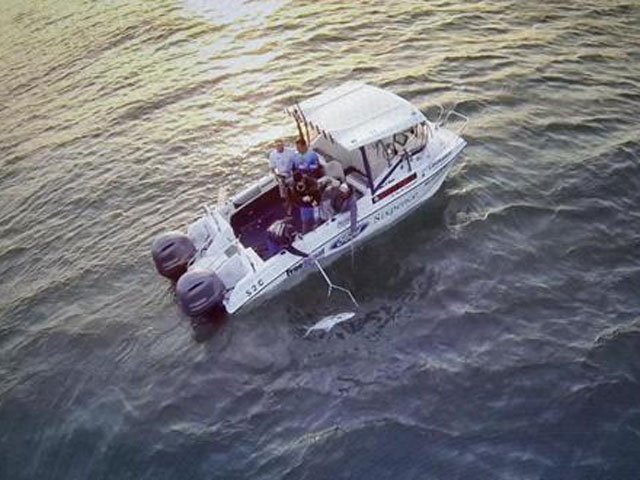 aerielgarrick_11.jpg