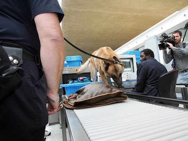 Airport inspection - AFP