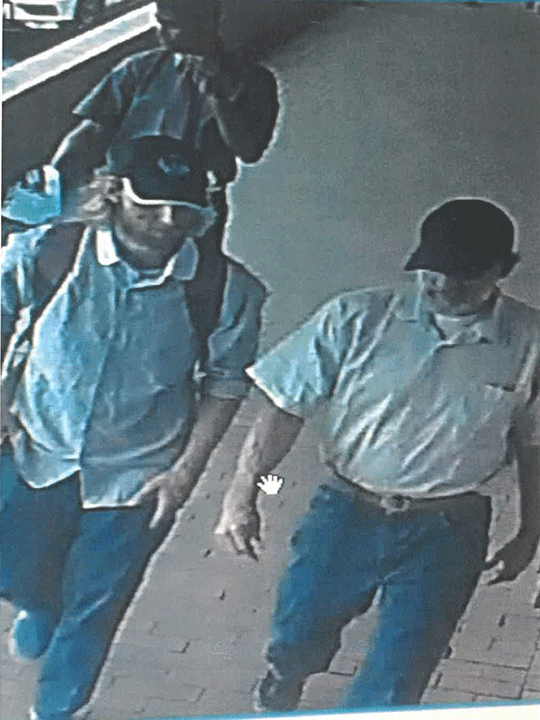 Search for pair linked to King Shaka theft case