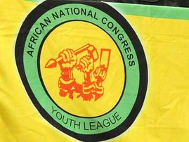 ancyl_3.jpg