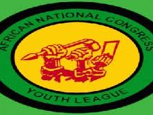 ancyl_8.jpg
