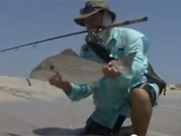 andre_fish9.jpg