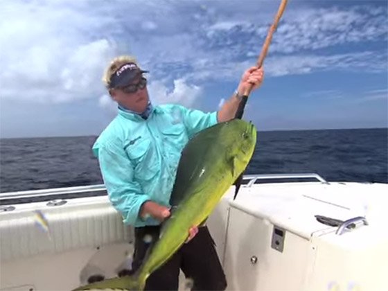 andre_fish_USE.jpg