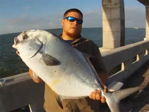 andre_fish_two.jpg