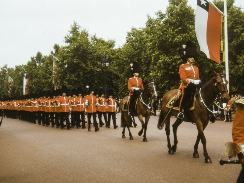 Queen’s Guard shouts at tourist for touching horse while posing for photo goes viral.