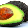 anti age 3 wikimedia - avocado