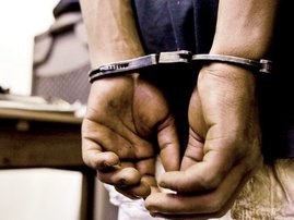 arrested gallo_1.jpg