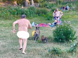 Nudist sun bather