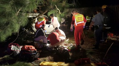Three killed after car crashes into tree