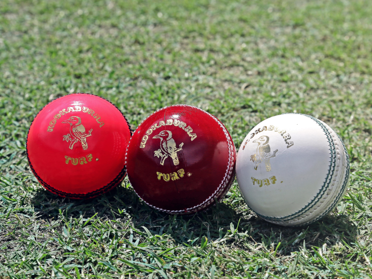 cricket balls