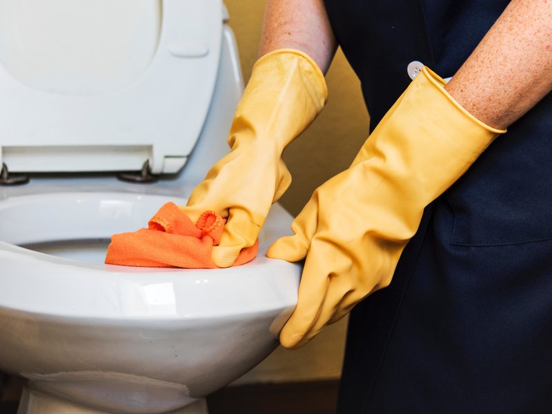 person cleaning toilet bowl