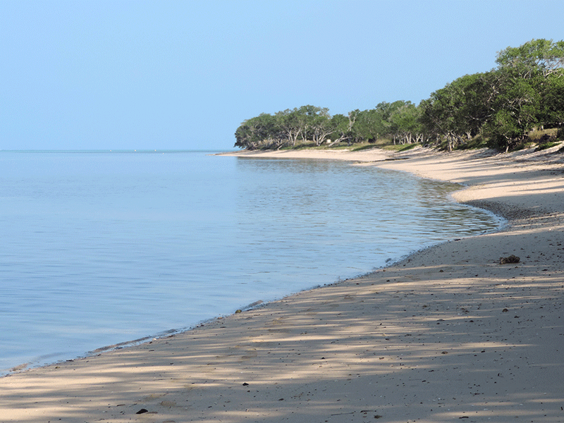 Generic image of beach