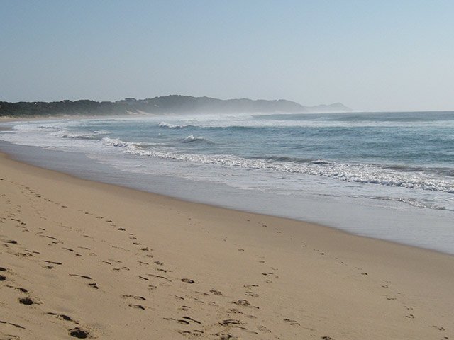 beach_Moz_dm_jdZQkYh.jpg