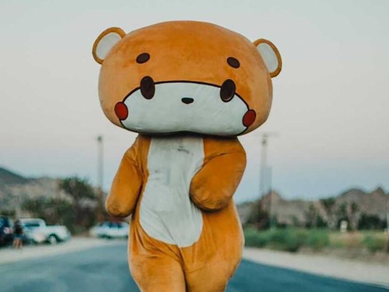 bearsun