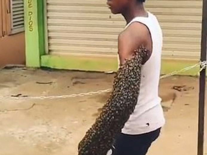 Social media footage shows the worker in the Dominican Republic, seemingly unfazed, leisurely walking down the street with his left arm covered by the army of bees