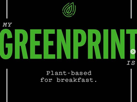 beyonce greenprint