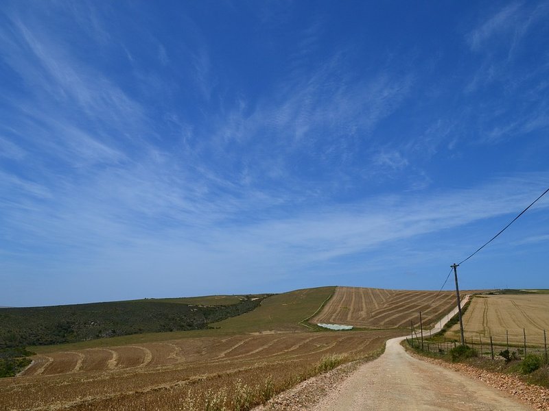 Farm South Africa