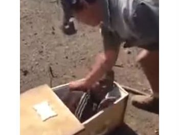 Black man in coffin