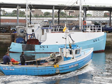 boat.PNG