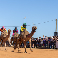Surprising country where camel racing comes with huge cash prizes