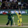 Australia spinner Adam Zampa appeal dismissal of Proteas' Matthew Breetzke