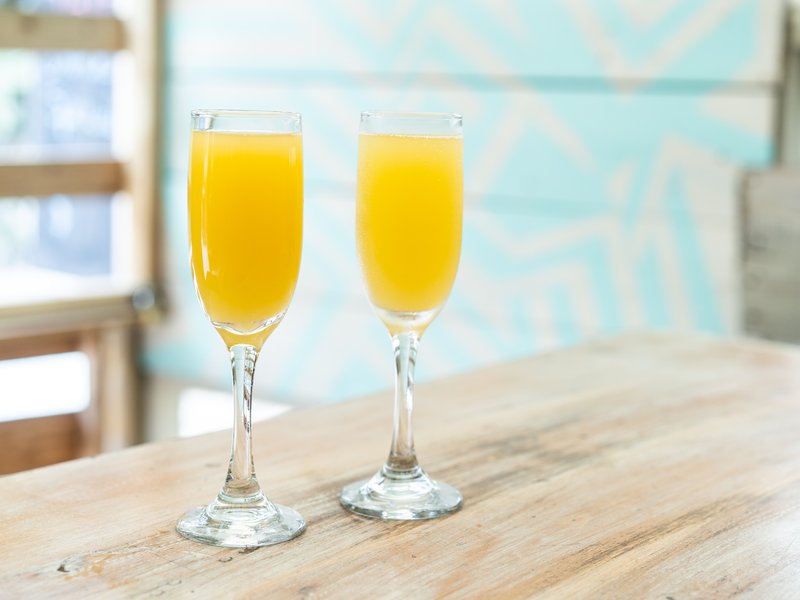 Mimosa