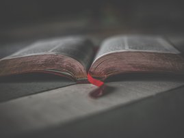 Bible