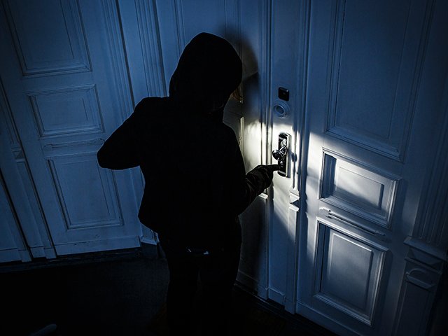 Burglar 