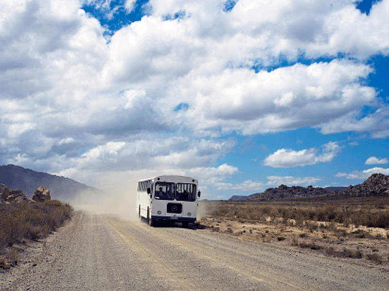 School bus