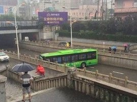 bus driver thumbnail