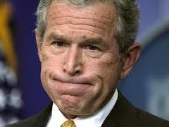 bush.jpg
