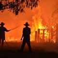 Residents defend a property from a bushfire at Hillsville near Taree, 350km north of Sydney