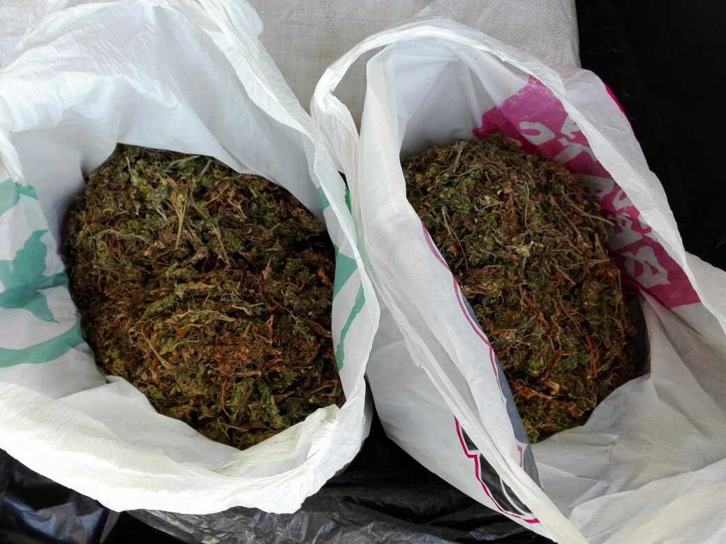 Dagga confiscated