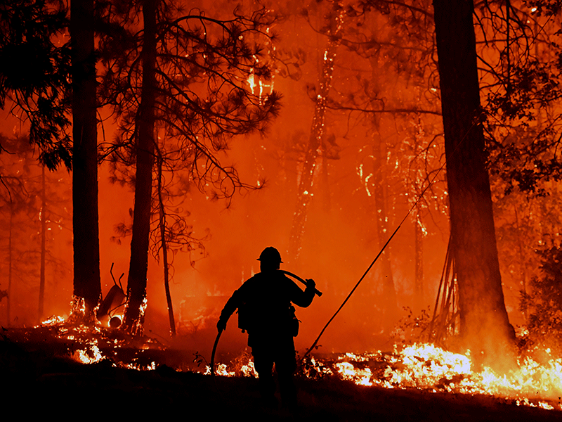 California fires